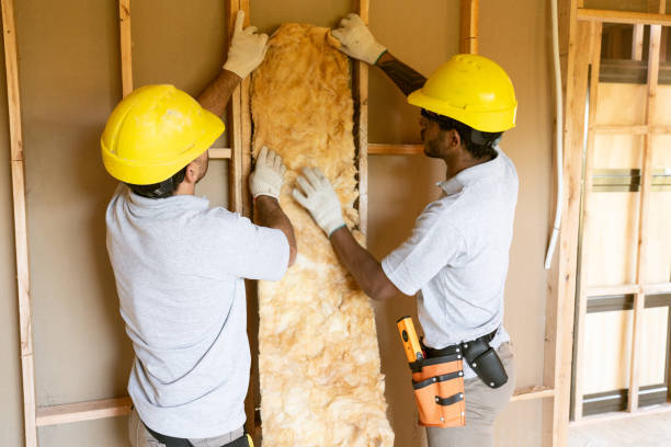 Best Insulation Repair Services  in West Baraboo, WI