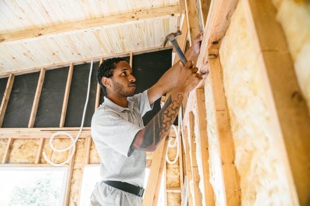 Best Energy-efficient Insulation  in West Baraboo, WI